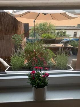 Foto - Etagenwohnung in Gelsenkirchen
