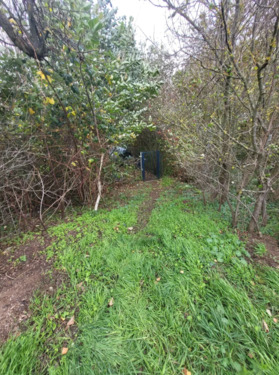 Foto - Grundstück in Neuwied