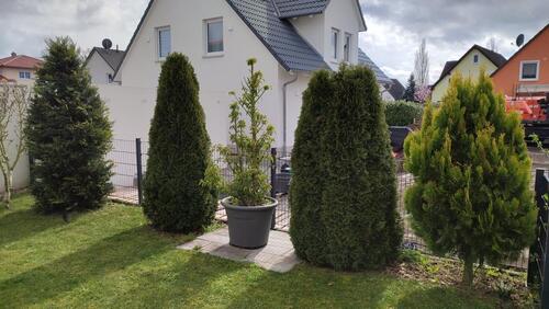 Foto - 3 Zimmer Etagenwohnung zur Miete in Gerhardshofen