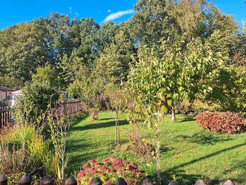 Foto - Grundst&uuml;ck in Limbach-Oberfrohna zur Miete