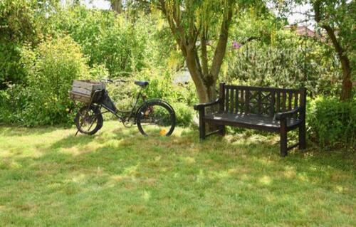 Foto - 3 Zimmer Etagenwohnung in Schieder-Schwalenberg