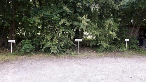 Foto - andere in Karlshagen