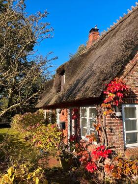 Foto - Traumhaftes Reetdach-Ein-Zwei-Familienhaus, parkähnlicher Garten