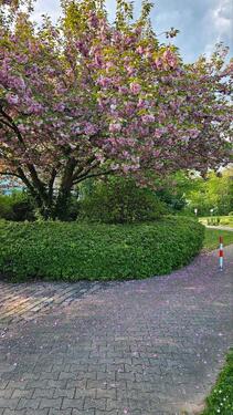Foto - Seenähe & ruhig 3-Zi.-Whg. mit Balkon, Stellplatz, provisionsfrei