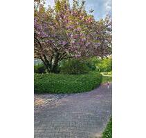 Seenähe & ruhig 3-Zi.-Whg. mit Balkon, Stellplatz, provisionsfrei - Mannheim Feudenheim