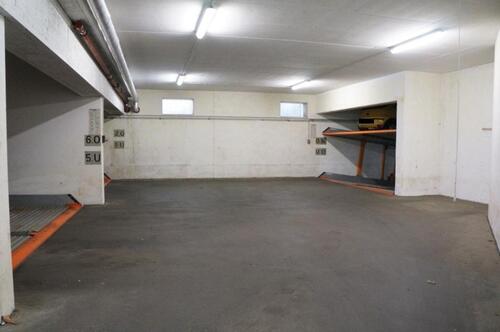 Foto - andere in Dresden