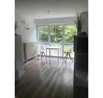 1 Zimmer Appartement am Schmelzteich Bad Sachsa