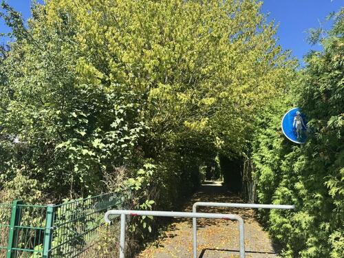 Foto - Hochparterre in Münster zum Kaufen