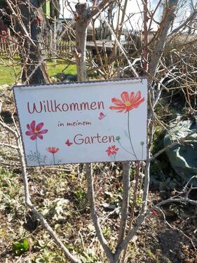 Foto - Pachtgarten Leipzig Portitz 630m²