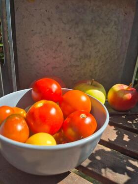 Foto - Grundst&uuml;ck in Leipzig