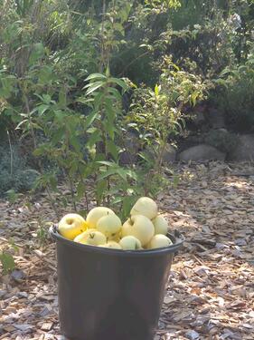 Foto - Grundst&uuml;ck in Leipzig zur Miete
