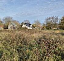 Rügen Vieregge Baugrundstück teilbar 170 €m² - Gingst