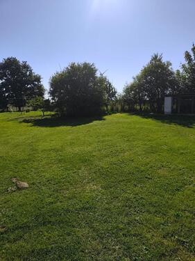 Foto - Einfamilienhaus zum Kaufen in Borrentin