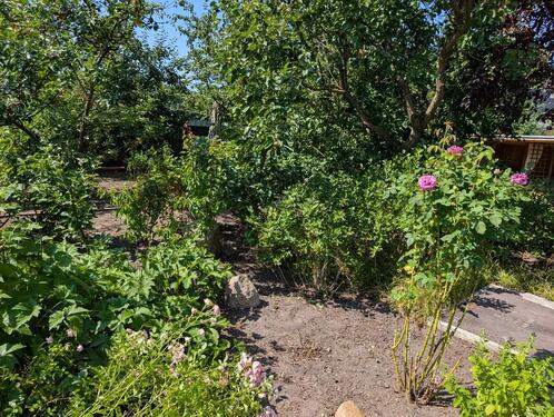 Foto - 4 Zimmer Einfamilienhaus zur Miete in Berlin