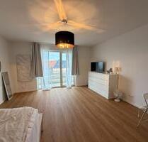 Modern sanierte 1-Zimmer-Wohnung mit Sonnenbalkon in Mrfelden-Walldorf - Mörfelden-Walldorf