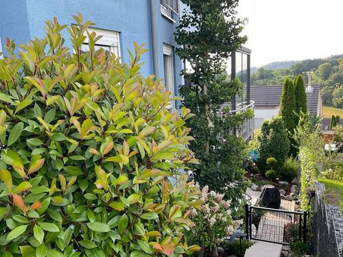 Foto - Einfamilienhaus in Mömbris zum Kaufen
