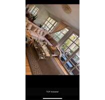 Ab sofort bezugsfrei Berlin - 3.400,00&nbsp;EUR Kaltmiete, ca.&nbsp; 140,00&nbsp;m&sup2; in Berlin (PLZ: 10115) Mitte