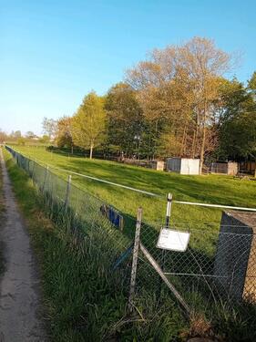 Foto - Wiese Weide Koppel - 125,00&nbsp;EUR Kaltmiete, ca.&nbsp; 0,00&nbsp;m&sup2;