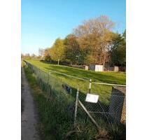 Wiese Weide Koppel - 125,00&nbsp;EUR Kaltmiete, ca.&nbsp; 0,00&nbsp;m&sup2; in Salzgitter (PLZ: 38239) Ortschaft Ost