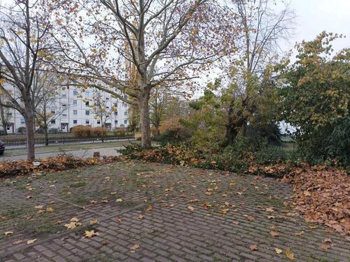 Foto - andere zur Miete in Königs Wusterhausen