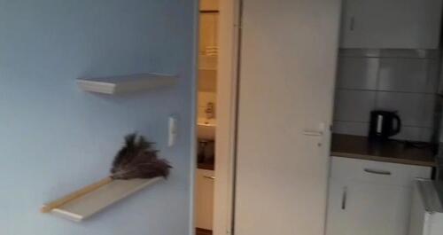 Foto - Erdgeschoßwohnung in Frankfurt am Main zur Miete