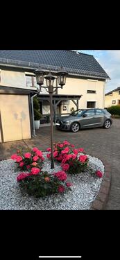 Foto - 6 Zimmer Einfamilienhaus zum Kaufen in Horhausen (Westerwald)