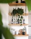 Foto - Einfamilienhaus zum Kaufen in Radeburg