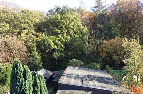 Foto - Etagenwohnung in Korschenbroich mit Waldblick