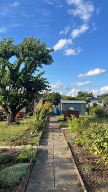 Foto - Grundst&uuml;ck in Magdeburg