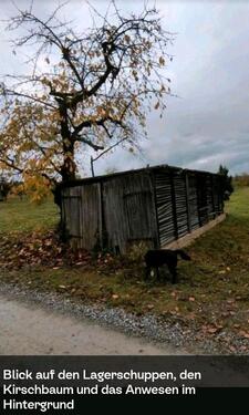 Foto - Gartengrundstück Nähe Main und Volkach im OT Astheim zur Pacht