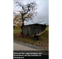 Gartengrundstück Nähe Main und Volkach im OT Astheim zur Pacht