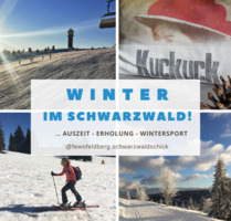 Winterurlaub im Hochschwarzwald Ferienwohnung für 2-4 Gäste - Feldberg (Schwarzwald)