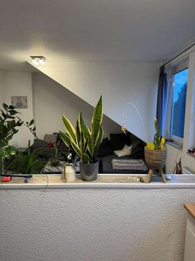 Foto - 2 Zimmer Dachgeschoßwohnung zur Miete in Gelsenkirchen