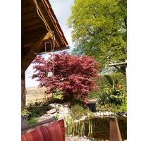 Ferienwohnung - 50,00&nbsp;EUR Kaltmiete, in Pottenstein (PLZ: 91278)