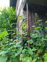 Foto - 6 Zimmer Bauernhaus, Landhaus in Beetzendorf