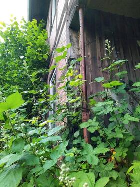 Foto - 6 Zimmer Bauernhaus, Landhaus in Beetzendorf