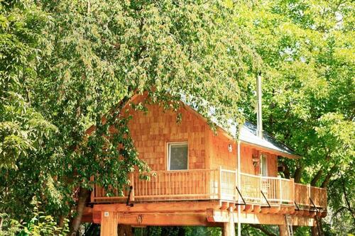 Foto - Ferienhaus Baumhaus für 4 Pers. mit Sauna, Hottub. Kamin