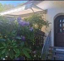 Wohnung in 76848 Darstein zu vermieten - Wilgartswiesen