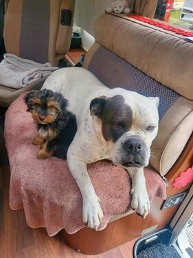 Foto - andere zur Miete in Karlsruhe