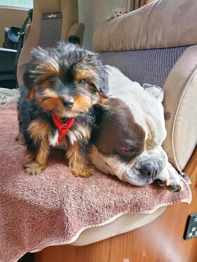 Foto - andere in Karlsruhe