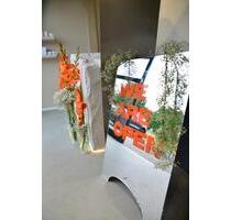 Beauty Coworking Space – stunden- & tageweise mieten (Mo–Mi) - Euskirchen