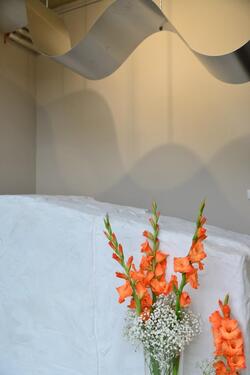 Foto - andere in Euskirchen