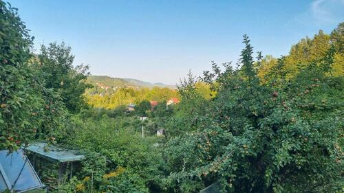 Foto - Pachtgarten mit Traumaussicht in Jena-West abzugeben