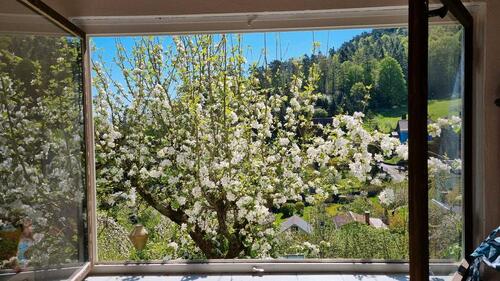 Foto - Grundst&uuml;ck zur Miete in Jena