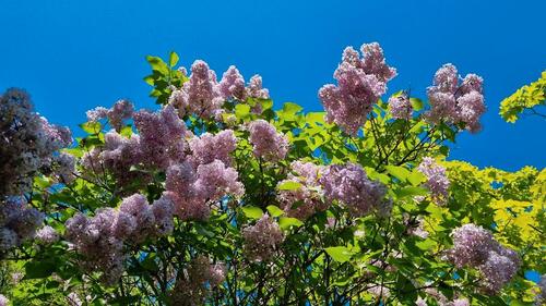Foto - Grundst&uuml;ck in Jena