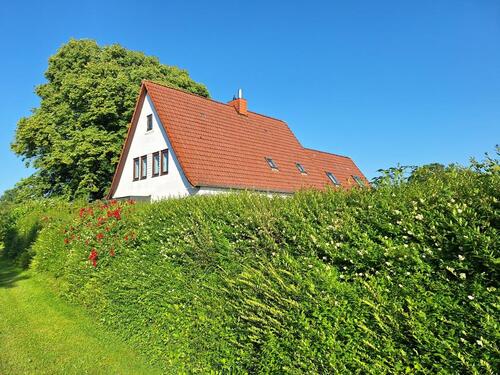 Foto - Einfamilienhaus in Tellingstedt zum Kaufen