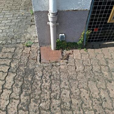 Foto - andere in Beckingen