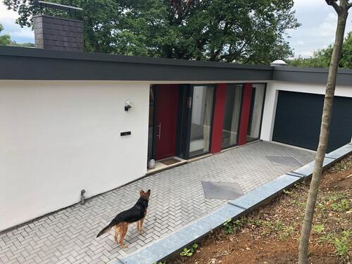 Foto - 5 Zimmer Bungalow in Wachtberg