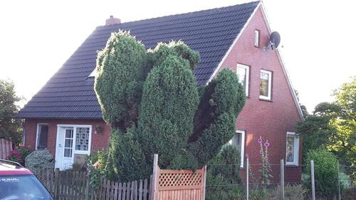 Foto - Einfamilienhaus zu vermieten - 850,00&nbsp;EUR Kaltmiete, ca.&nbsp; 120,00&nbsp;m&sup2;