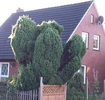 Einfamilienhaus zu vermieten - 850,00&nbsp;EUR Kaltmiete, ca.&nbsp; 120,00&nbsp;m&sup2; in Wittmund (PLZ: 26409)